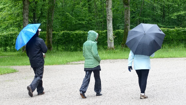 Three people walking down a path carrying umbrellas