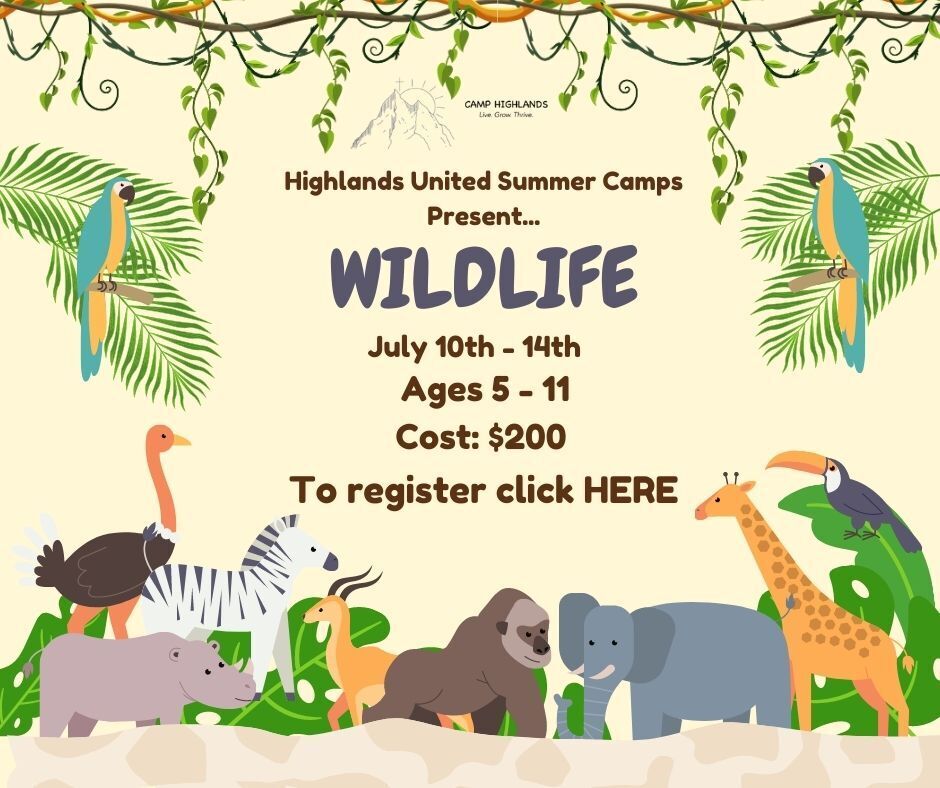 Summer camp poster Wild Life camp