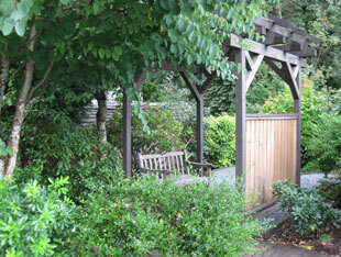 Garden with lots of greenery and a wooden fence