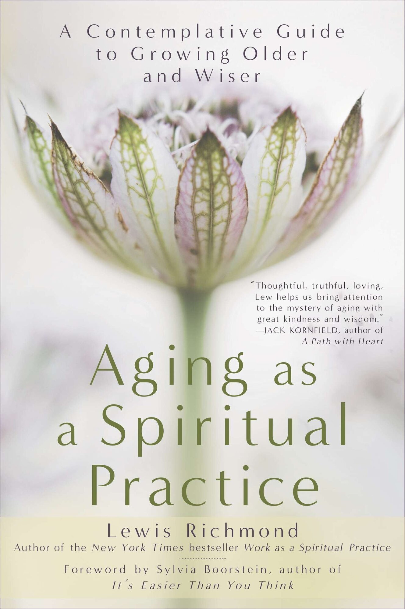 Aging as a Spiritual Practice A Contemplative Guide to Growing Older and Wiser