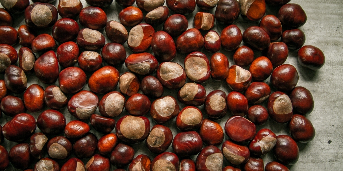 Image of nuts