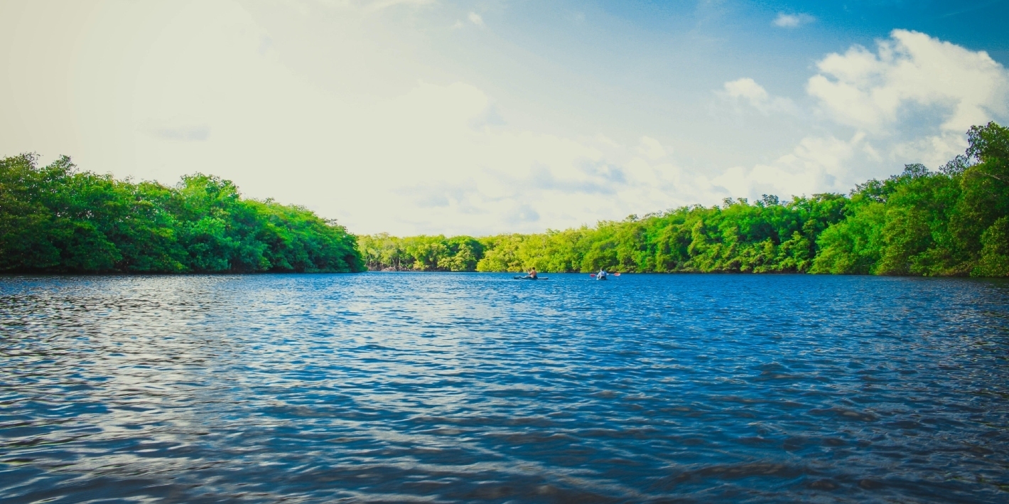 lake at summer with woods surrounding it